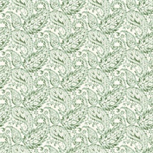 Adrian Green Paisley