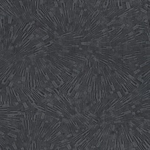 Agassiz Black Burst Wallpaper
