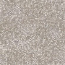 Agassiz Light Brown Burst Wallpaper