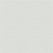 Agave Light Blue Faux Grasscloth