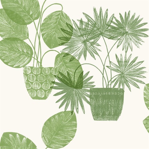 Aida Green Potted Plant Wallpaper