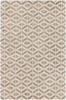 AIL1005 Asheville Area Rug