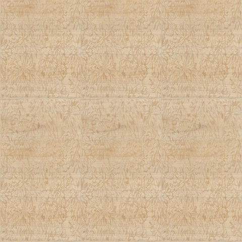 Ajoura Birch