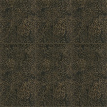 Ajoura Ebony