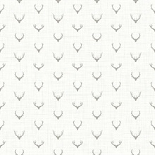 Alaska Antlers