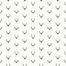 Alaska Antlers
