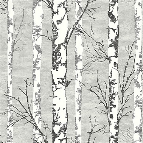 Alaska Birch