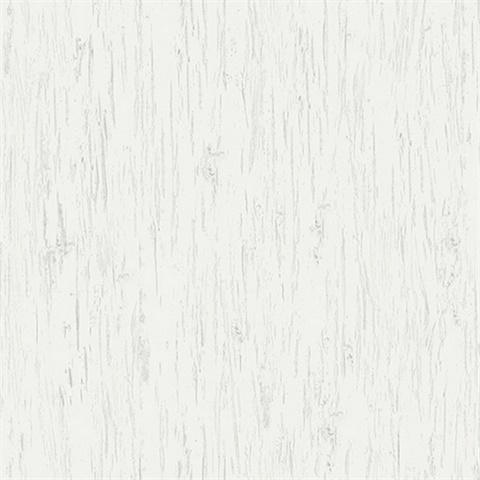 Alaska Birch Texture