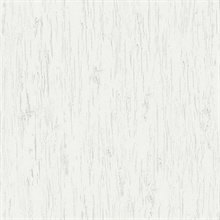 Alaska Birch Texture