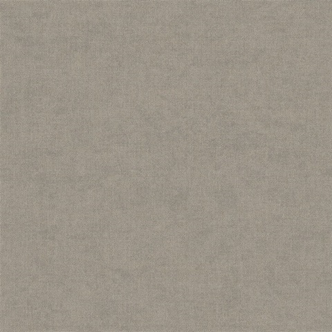Alexa Chocolate Texture