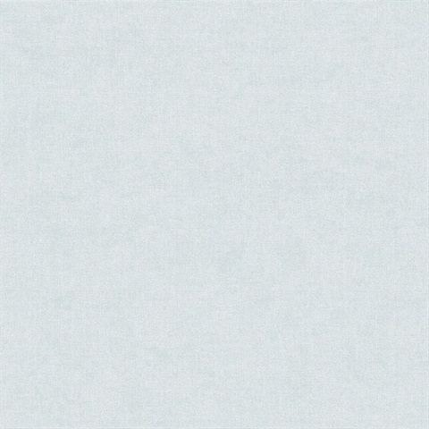 Alexa Light Blue Texture