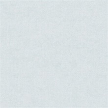 Alexa Light Blue Texture