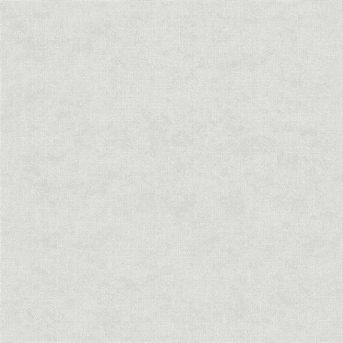 Alexa Silver Texture