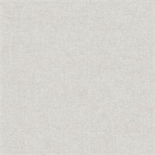 Alexa Taupe Texture