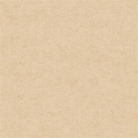 Alexa Wheat Texture