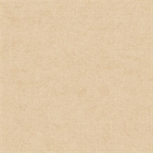 Alexa Wheat Texture