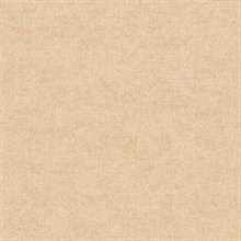 Alexa Wheat Texture