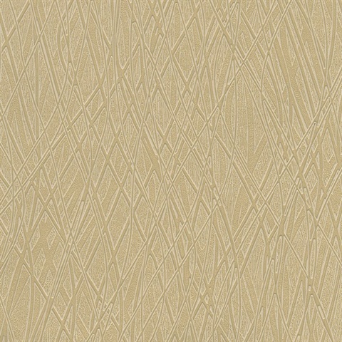 Allegro Gold Embossed