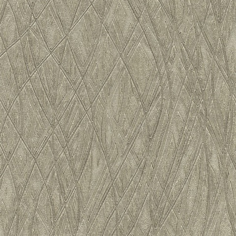 Allegro Silver Embossed