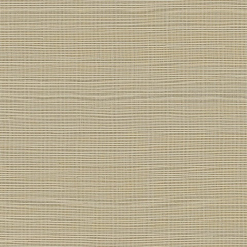Maguey Natural Sisal Grasscloth Almond Wallpaper