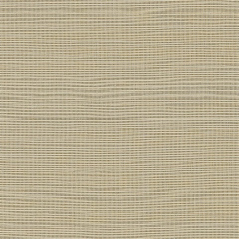 Maguey Natural Sisal Grasscloth Almond Wallpaper