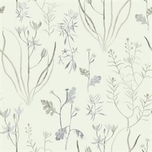 NR1567 | Alpine Botanical Grey Floral Wallpaper