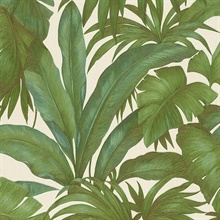 Amazon Paragon Versace Italian Wallpaper