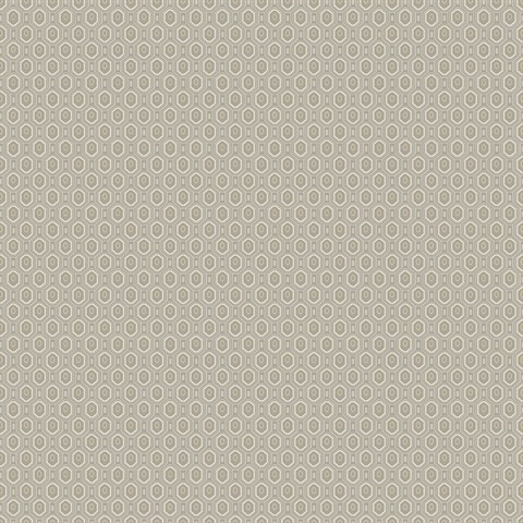 Ambassador Grey Geometric