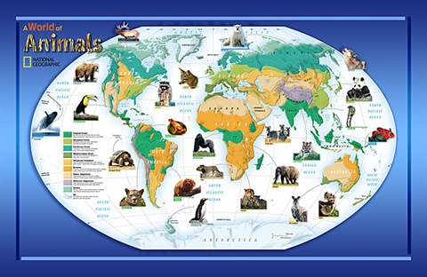 Animals Of The World Wall Mural