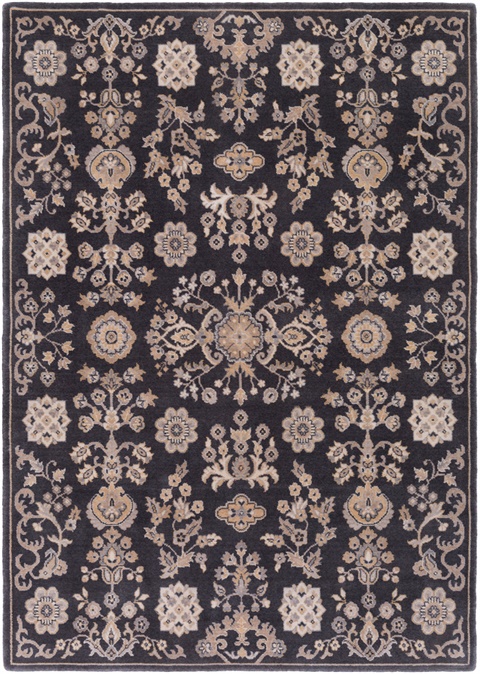 ANM1003 Andromeda Area Rug