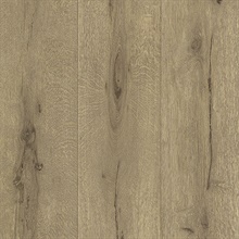 Appalachian Light Brown Wooden Planks