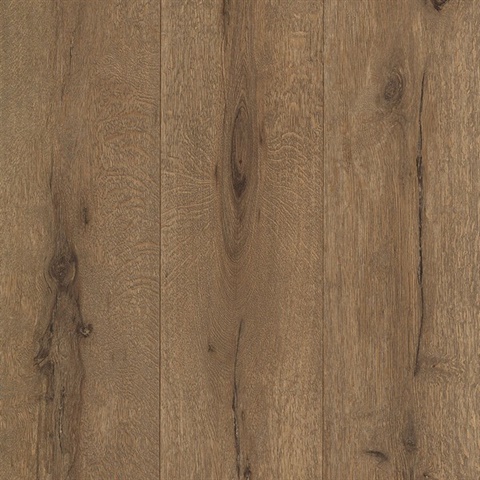 Appalacian Fawn Brown Wood Planks Textured Wallpaper