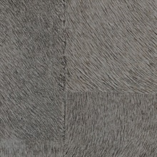 Appaloosa Cow Hide Luxury Commercial Wallpaper, CV 113 05