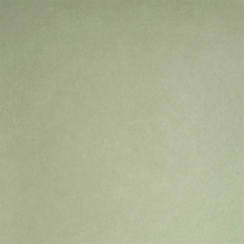 Appolline Light Green Blosm Blotch Texture Wallpaper