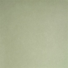 Appolline Light Green Blosm Blotch Texture Wallpaper