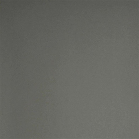 Appolline Light Grey Blosm Blotch Texture Wallpaper