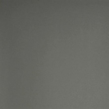 Appolline Light Grey Blosm Blotch Texture Wallpaper
