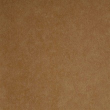 Appolline Tawny Blosm Blotch Texture Wallpaper