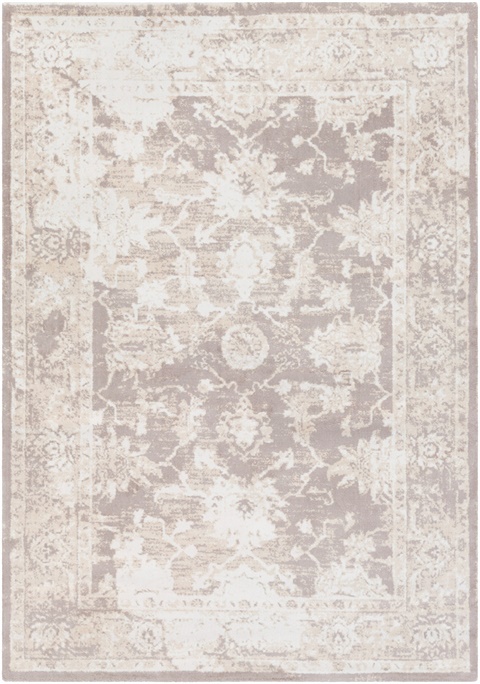 APY1003 Apricity Area Rug