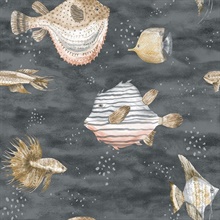 Aquatic Oceanna Puffer Fish Black Wallpaper