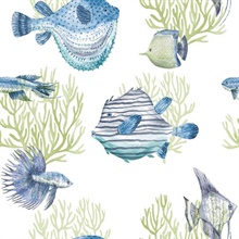 Aquatic Oceanna Puffer Fish Blue Wallpaper
