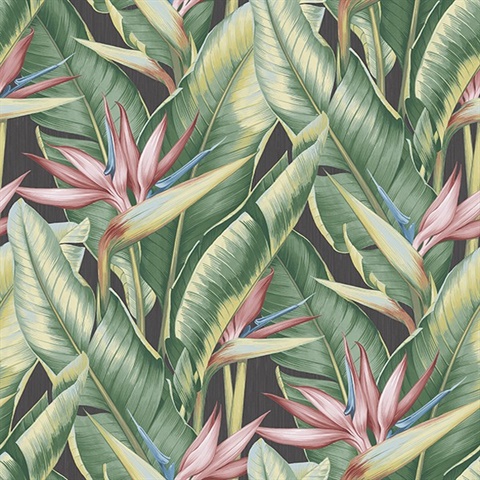 Arcadia Pink Banana Leaf