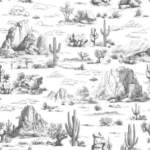 Area 51 Novelty Toile Grey Peel and Stick Wallpaper