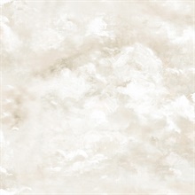 Aria Neutral Abstract Watercolor Wallpaper