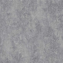 Ariana Pewter Texture