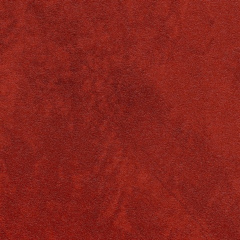 Arid Red Rock