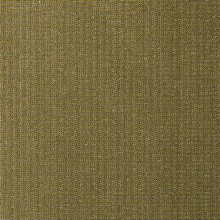 Arima Kiwi