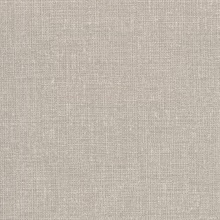 Arya Grey Fabric Texture