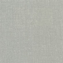 Arya Sage Fabric Texture