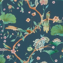 Asa Blue Bird On Tree Branch Wallpaper